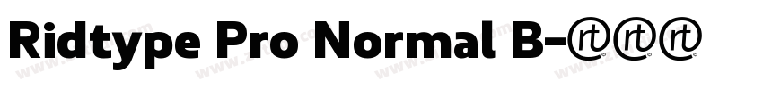 Ridtype Pro Normal B字体转换